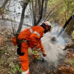 INCENDIO BOSCHIVO A PITELLI – SP