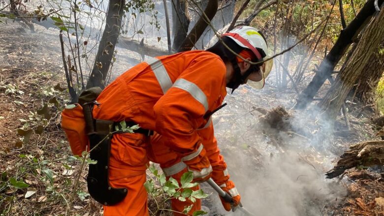 INCENDIO BOSCHIVO A PITELLI – SP